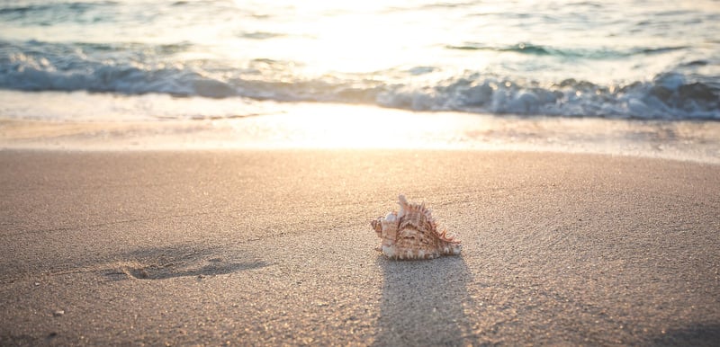 Beach Relaxation